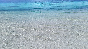 Clear Shallows Image.jpeg
