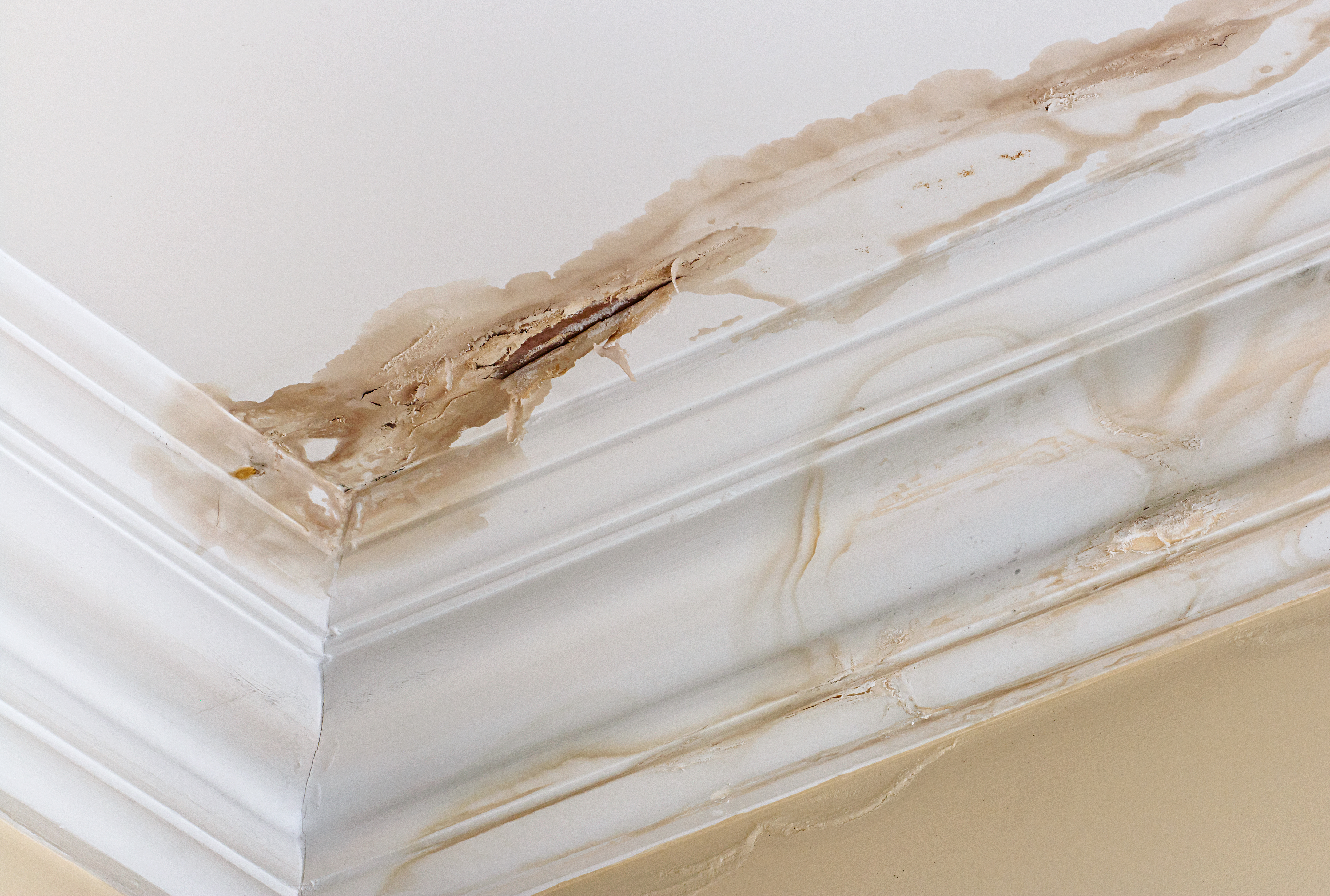 Ceiling stain damage