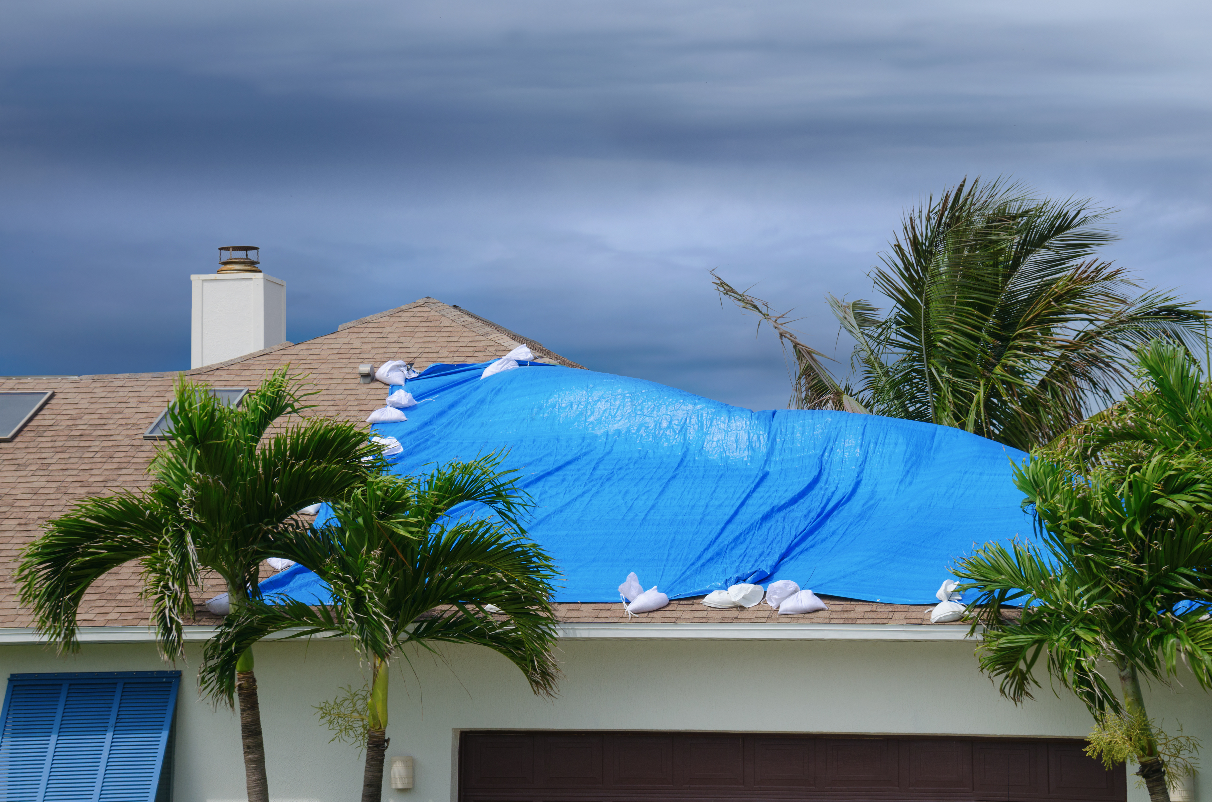 Roof inspection