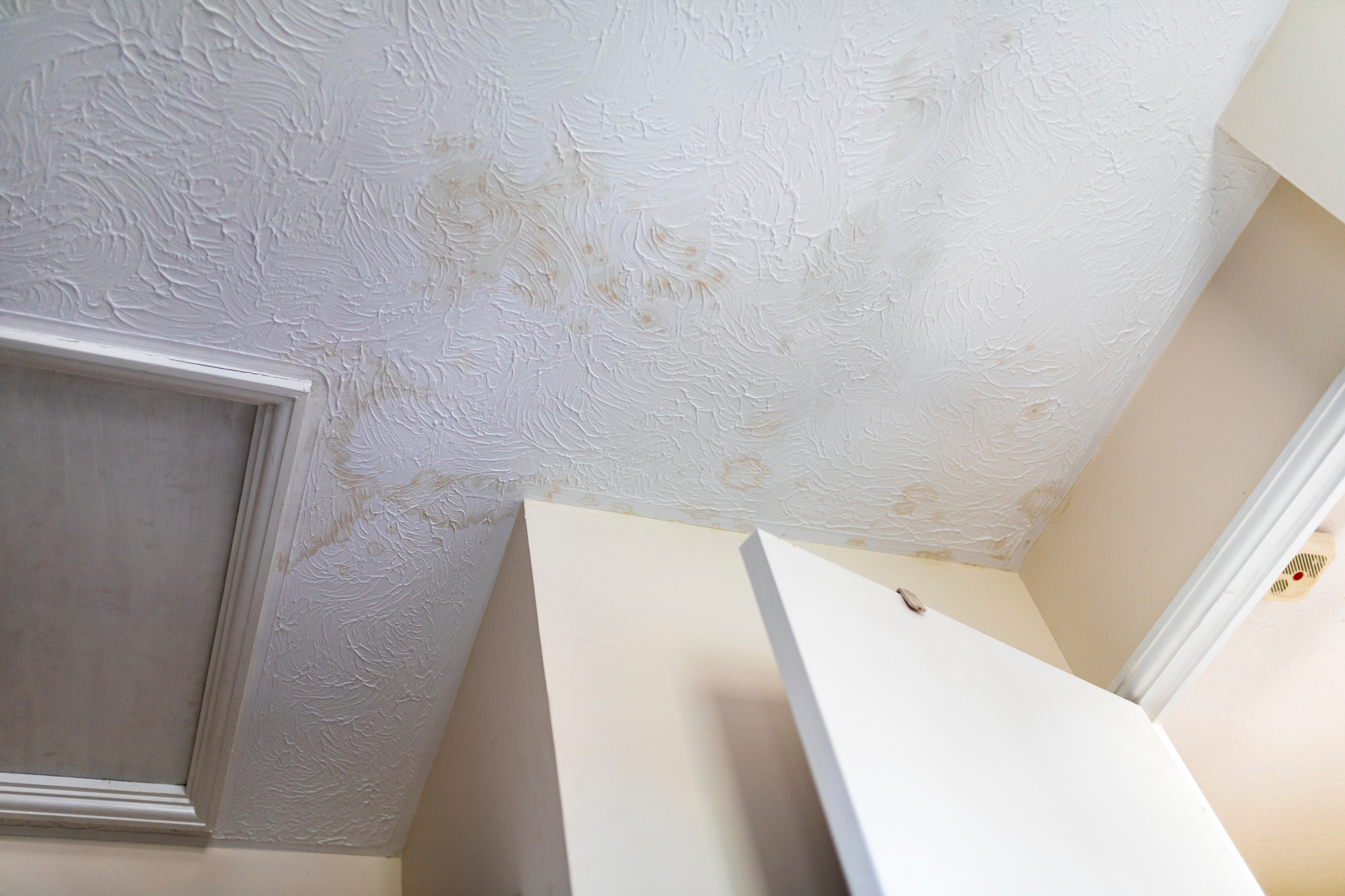 Ceiling damage detail