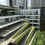 縮圖：Cloud Tree Residence @ Seri Kembangan For Sale