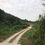 縮圖：Broga, Negeri Sembilan 12 Acres Agriculture Land For Sale