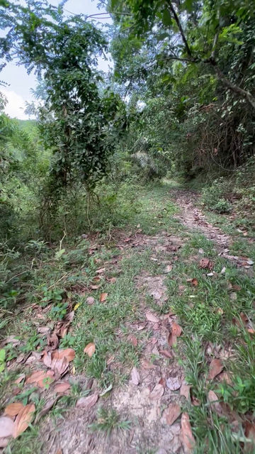 Thumbnail: Kajang sungai Tangkas agricultural land 10acres