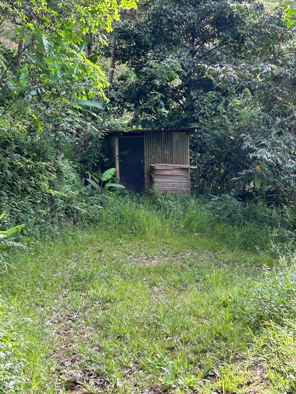 Thumbnail: Jelebu Kuala Klawang 6.5 acre Rubber Plantation @ Land For Sale