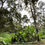 縮圖：Taman Titi Durian Orchard 6 acres Agriculture Land