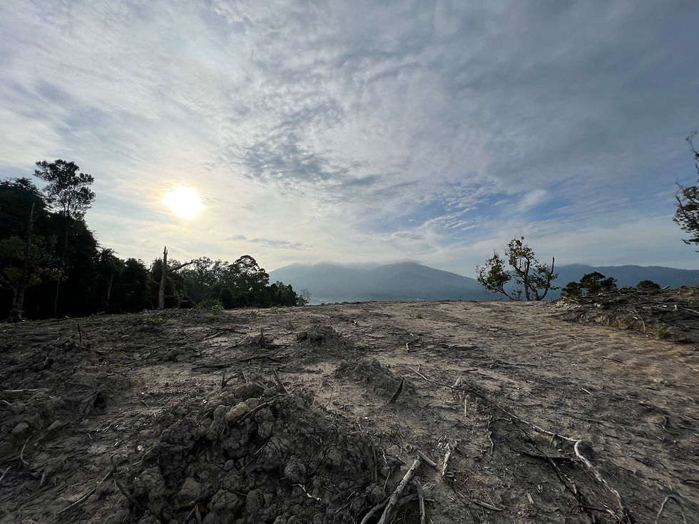 縮圖：Sungai Lalang Semenyih Selangor agricultural land 4.3 acres