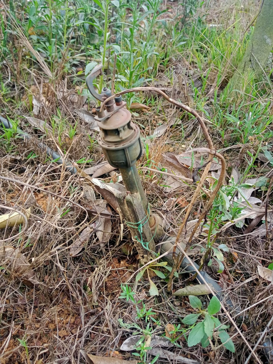 縮圖：Pertang 6. 85-acre Durian Orchard @ Negeri Sembilan For Sale