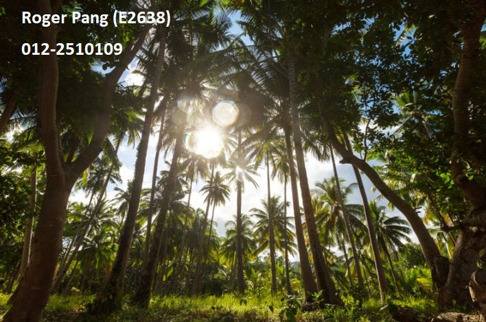 縮圖：Telok Gong, Klang 2.7 Acres Agriculture Land @ Selangor For Sale