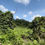 Thumbnail: Kajang sungai Tangkas agricultural land 10acres