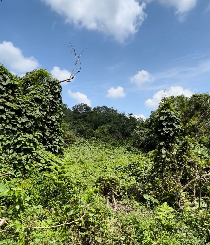 Kajang sungai Tangkas agricultural land 10acres