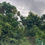 Thumbnail: Mantin Agriculture Land 3.05 acre @ Negeri Sembilan for Sale