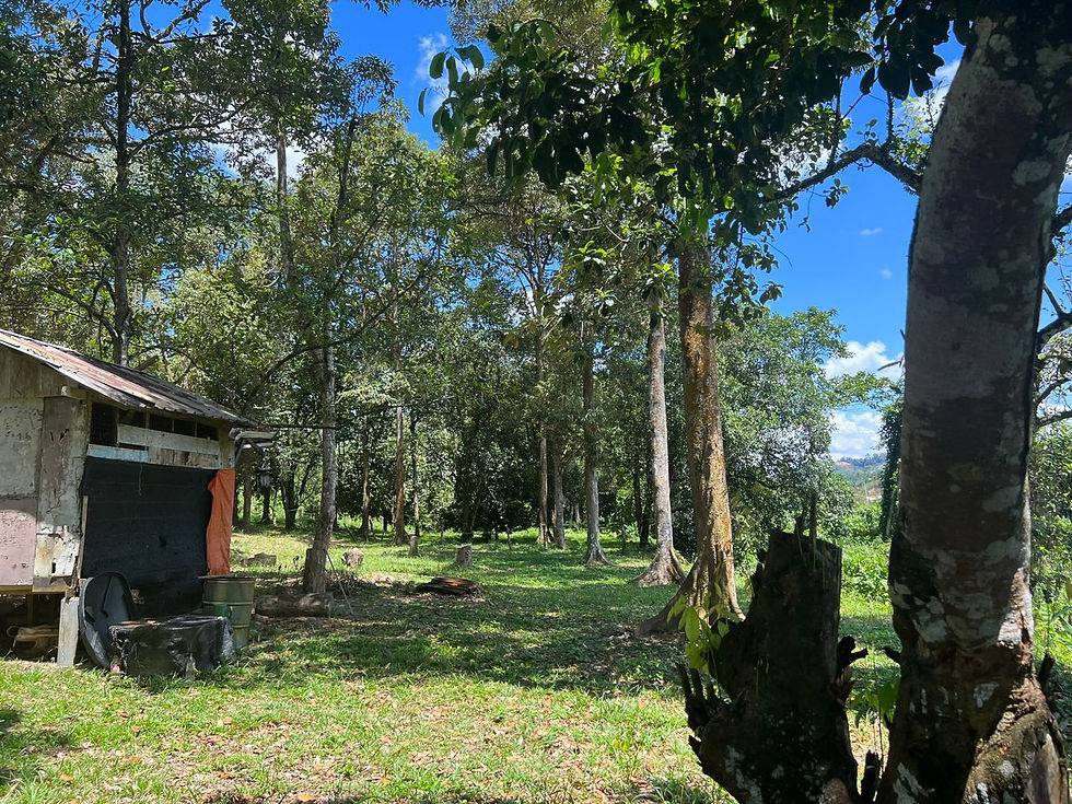 Thumbnail: Hulu Semenyih Kampung Pasir Durian Orchard @ Hulu Langat For Sale