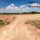 Thumbnail: Sungkai, Perak 45 Acres Agriculture Land with Old Palm Tree For Sale