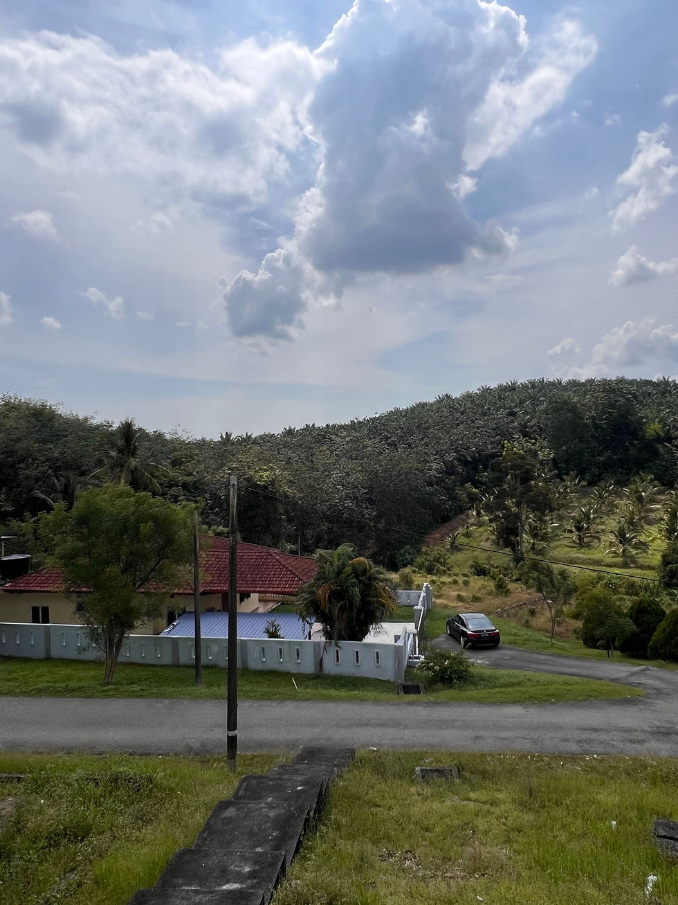 縮圖：Beautiful 10-Acre Property in Rantau - Ideal for Farming, Investment, or a P