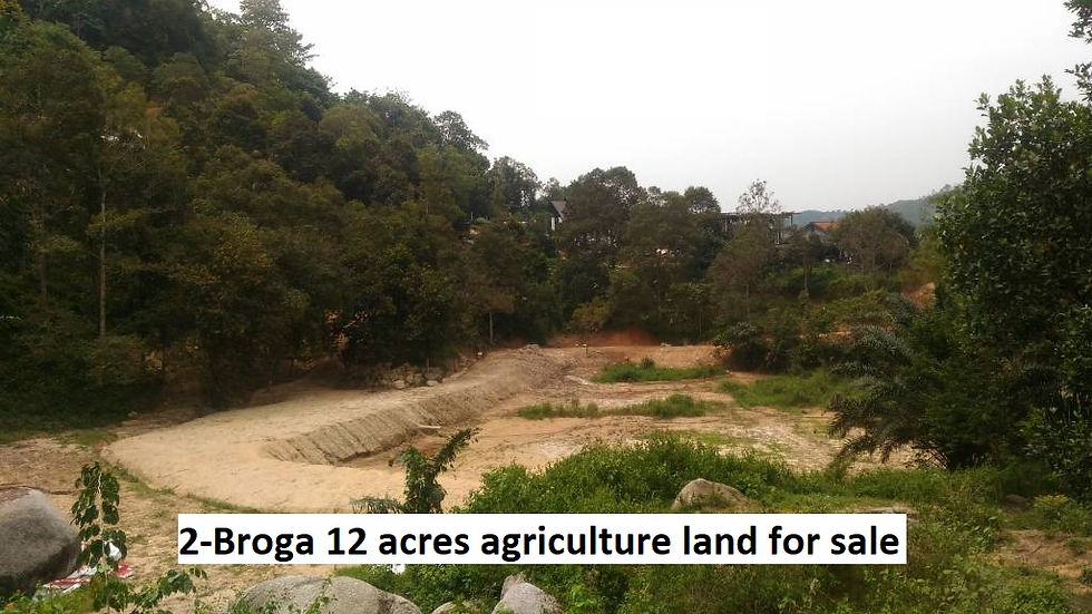 Broga, Negeri Sembilan 12 Acres Agriculture Land For Sale