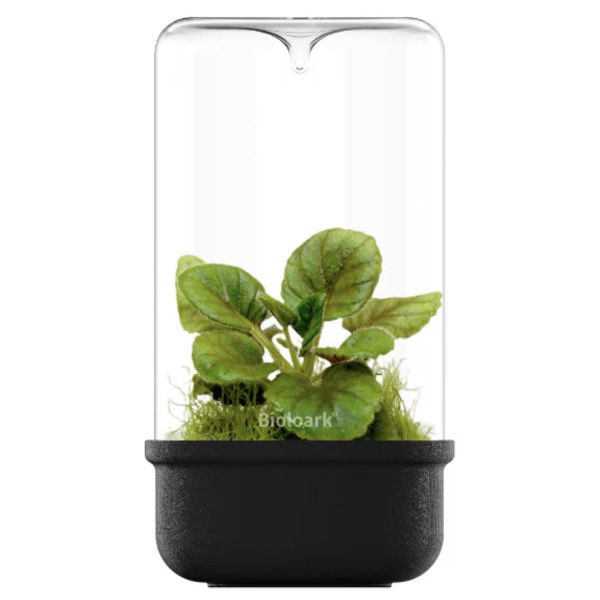 Bioloark Bio Bottle MH Series