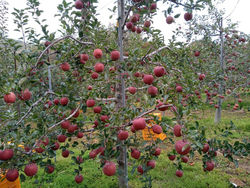 KakaoTalk_20201026_221729092_18