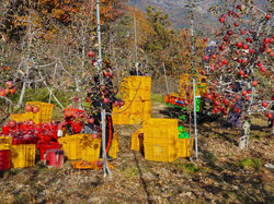 KakaoTalk_20211107_183320919_03