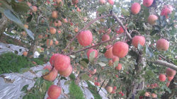 20171102_073622