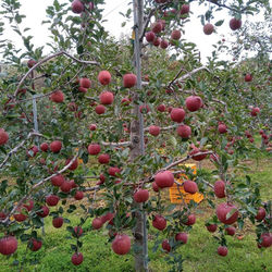 KakaoTalk_20201026_221729092_05