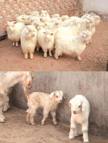 Bildschirmfoto 2022-06-16 um 14.17.58.png