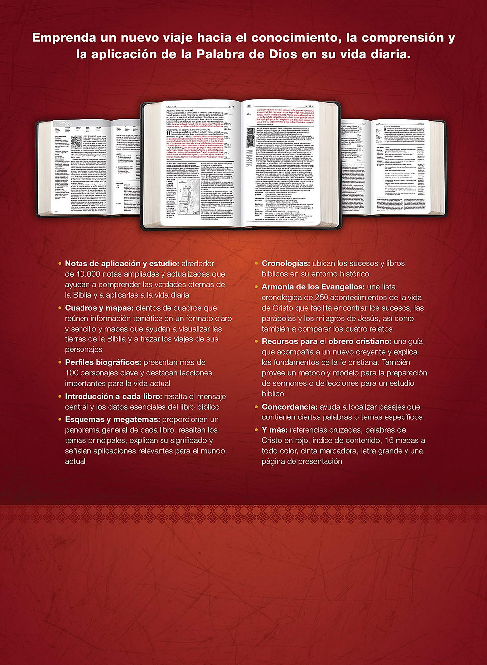 Miniatura: Biblias de Estudio Diario Vivir, Reina Valera 1960