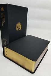 aa2bcb32-3582-4130-b4fe-dfc4026aab24.jpg