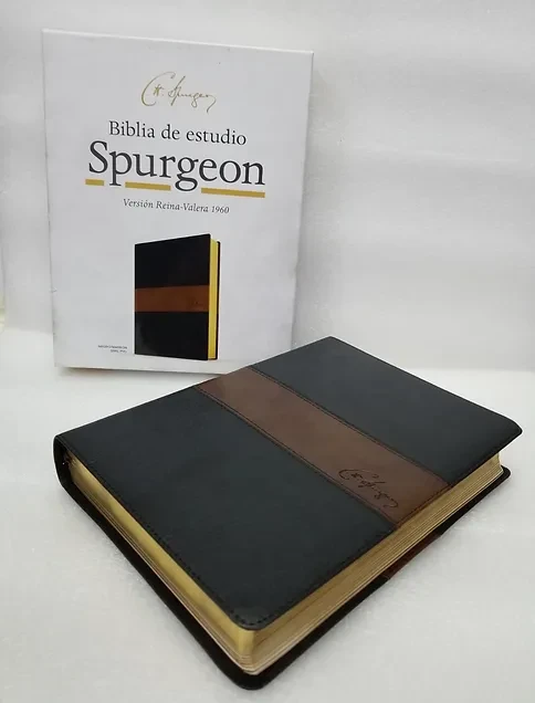 Miniatura: Biblia Spurgeon