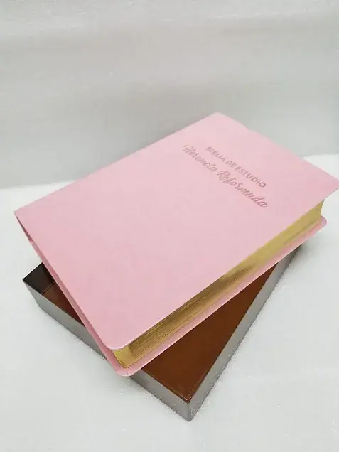 Miniatura: Biblia Herencia Reformada