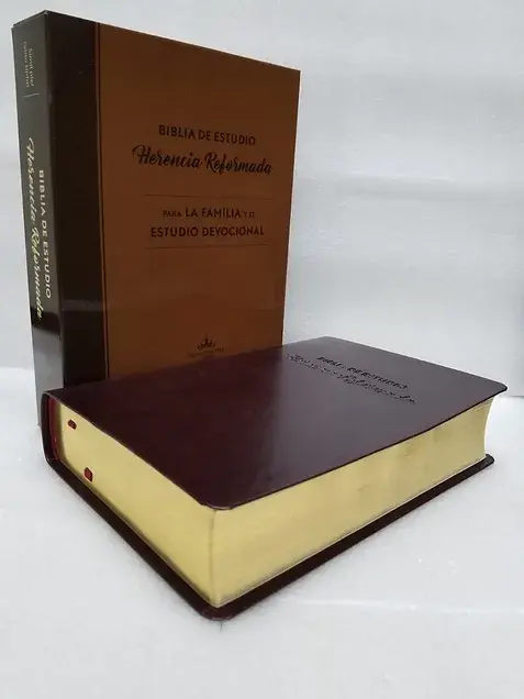 Miniatura: Biblia Herencia Reformada