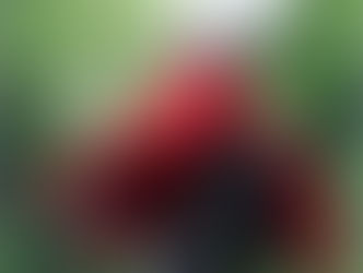 Hollow Knight Silksong Hornet