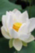 ChatGPT Image May 20, 2026, 01_27_11 PM.png