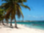 Plages | Villas Kamoti | location villas | Guadeloupe
