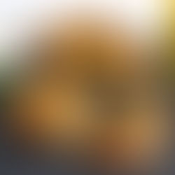 Garlic Bread Grilled Cheese 