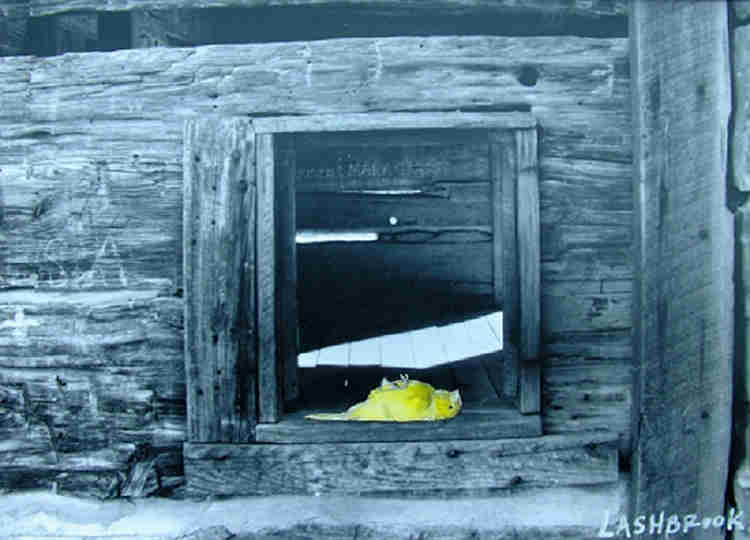 Lashbrook, MD.#2.JPG