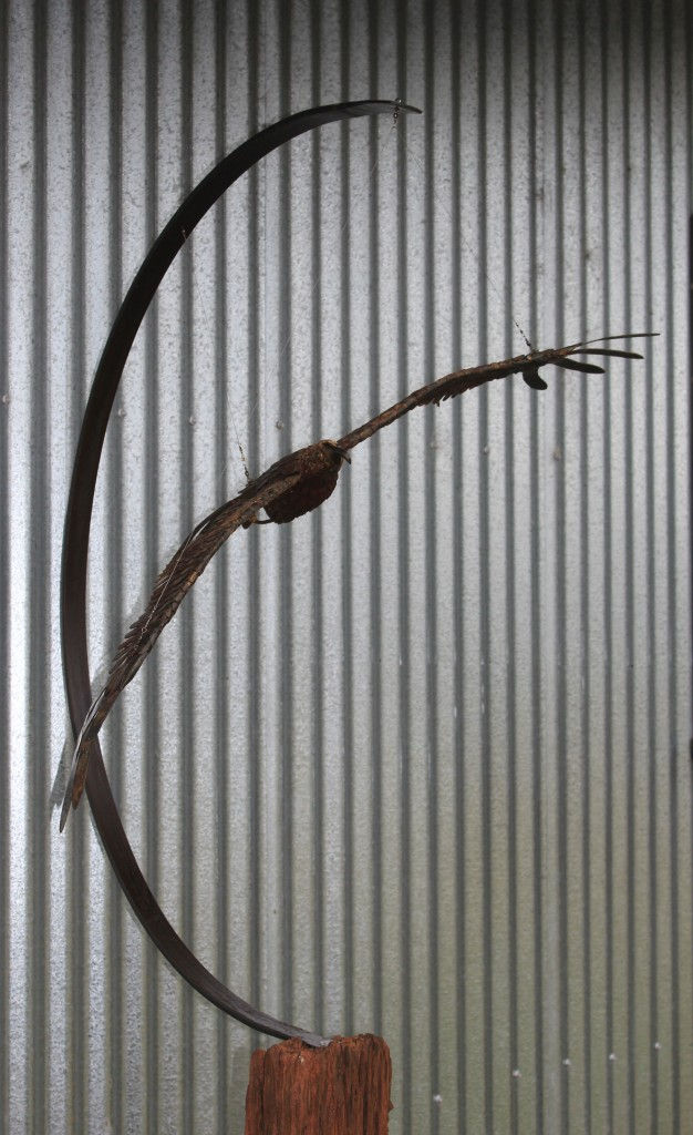 Thumbnail: NEW ZEALAND HARRIER HAWK (KAHU) IN FLIGHT SCULPTURE – ABSOLUTELY STUNNING!