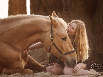Romantisches Bild aus einem Pferdeshooting von einem Pferd in liegender Position mit seiner Besitzerin