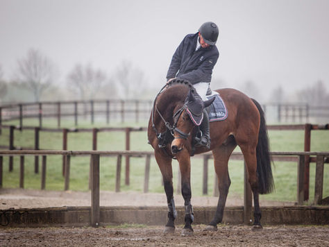 Frühlingsfest der Pferde 2019