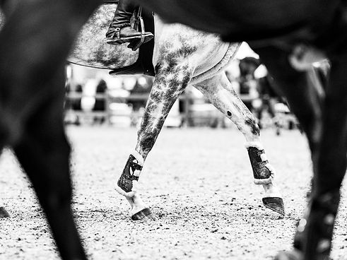 Pferdebeine auf einem Abreiteplatz