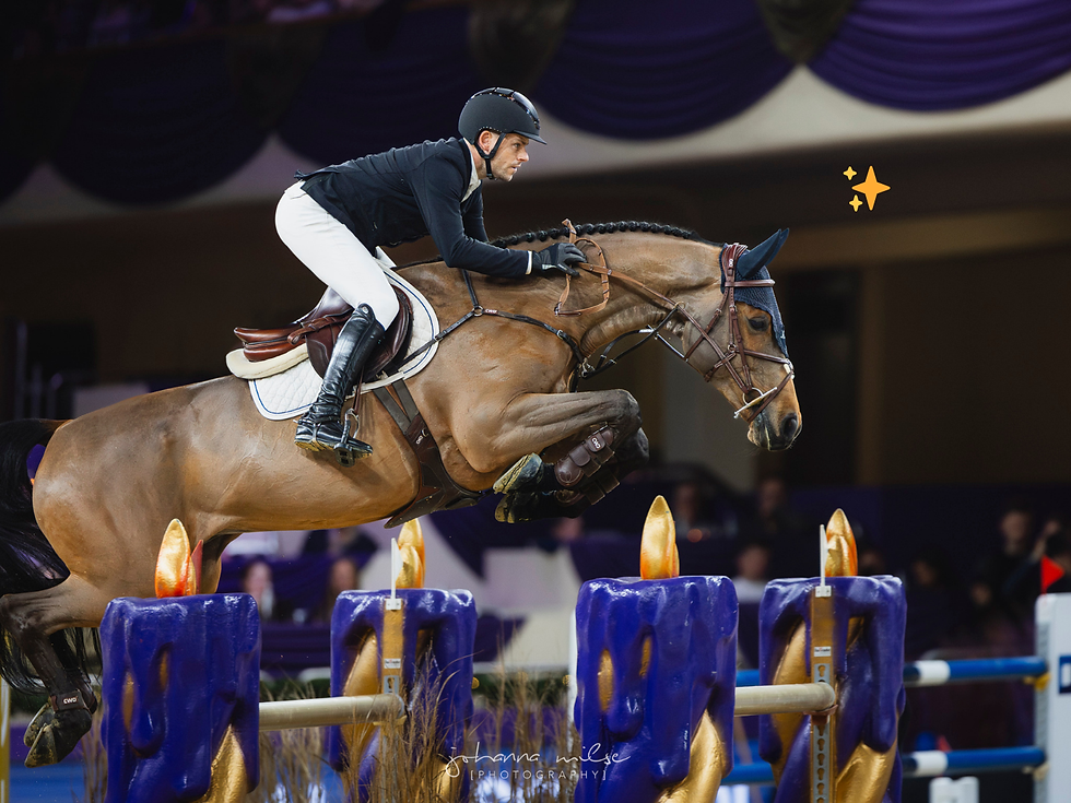 Springpferd im Großen Preis von Frankfurt über einem Oxer