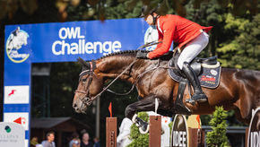 Pferd über einem Oxer, im Hintergrund der Banner der OWL Challenge