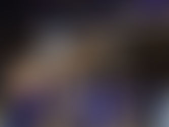 Springpferd über einem Hindernis beim Festhallenreitturnier Frankfurt