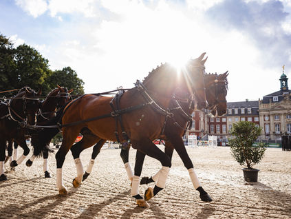 Ein Vierspänner bei einer Siegerehrung vor dem Schloß Münster