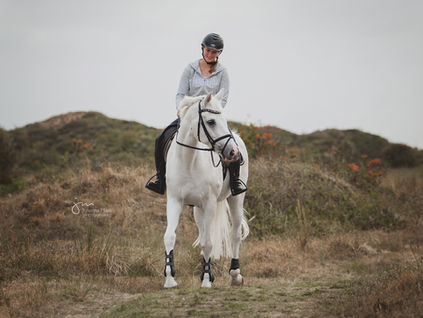 Reiterin und ihr Pferd in den Dünen von Langeoog bei einem Pferdeshooting