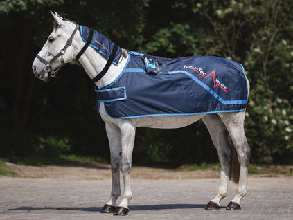 Magnetfelddecke fürs Pferd: Meine Erfahrung mit der Neu-Tec Vet-Line „Equi“ bei Spat