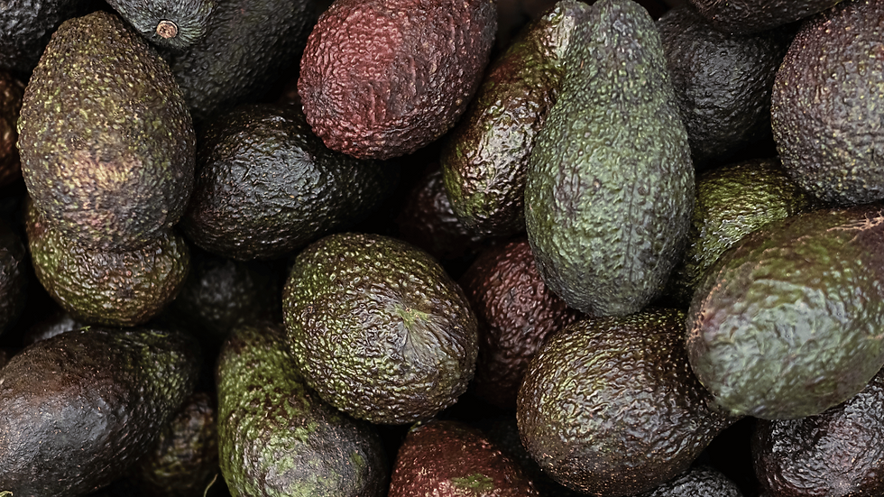 Avocados