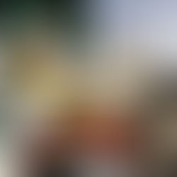 MHA Final Season Movie Review