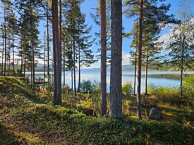 20250923_100817 (1).jpg