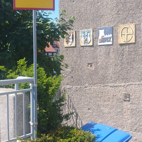 Reinigung* po polsku  