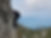 IMG_2043.JPEG